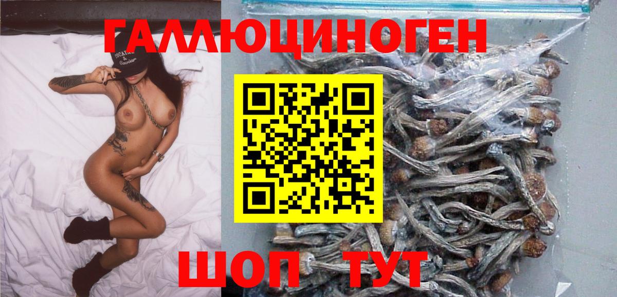 Хабаровск  Псилоцибиновые грибы Psilocybine cubensis  Галлюциногенные грибы мицелий  Вход с VPN 